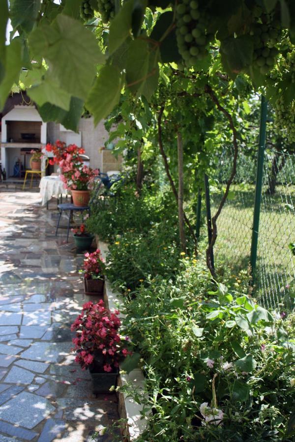 Apartment Vera Umag Exterior photo